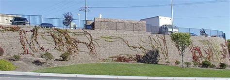 Reinforced Retaining Wall Construction