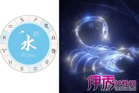 水瓶座是什么象星座 - 日历网