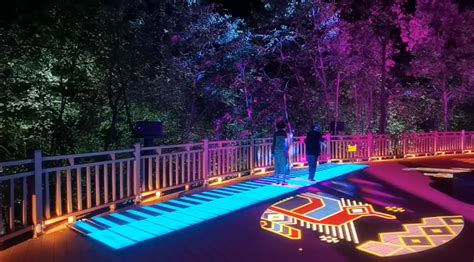 Image result for Interactive Floor Projector