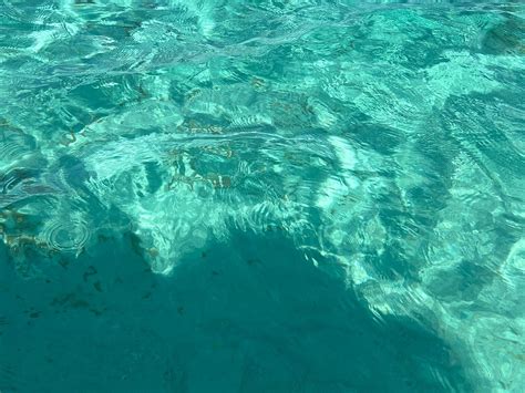 CABANA CRUISES (2025) All You Need to Know BEFORE You Go (with Photos ...