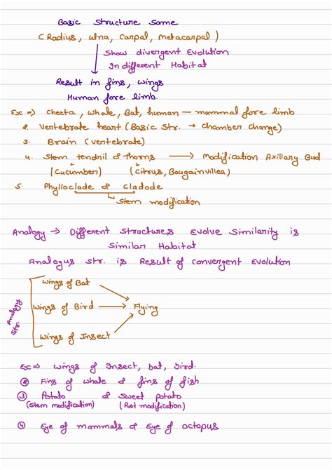 Image result for Class 12 Evolution