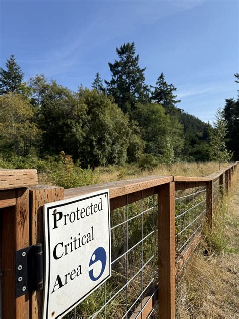 Wetlands - Shelter Bay Community