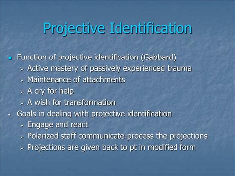 Projective Identification 的图像结果