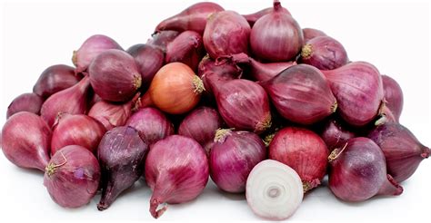 How to export onion from India to any country ~ Export Import India