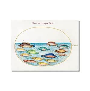 Tamatina Wall Posters | Living Room Home Décor Restaurant Bedroom ...