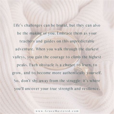 Challenges 的图像结果