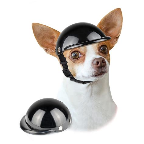 Dog Helmets For Motorcycles at Paul Nichols blog