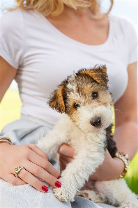 Christ, Family, Country Life.