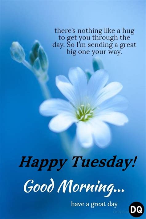 45 Happy Tuesday Morning Wishes - Quotes and Messages - Dreams Quote