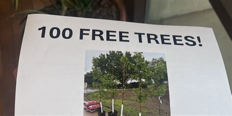 Wichita organization giving away 100 free trees to homeowners, churches ...