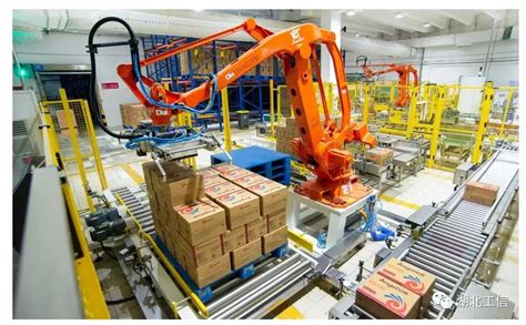 Palletizing Robots 的图像结果