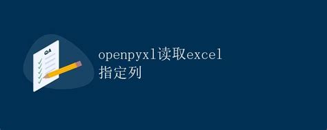 Openpyxl Excel 的图像结果