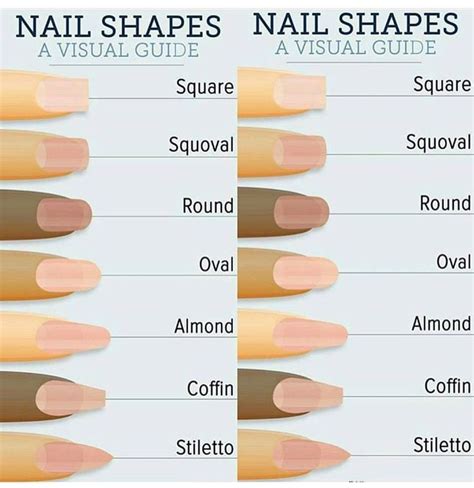 Types Of Nail Tip Shapes - Design Talk