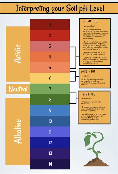 Ph soil chart – Artofit