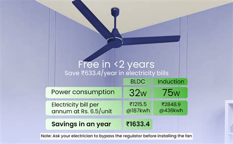 Buy RR Signature NEOAIR MINI Motor 1200mm BLDC Ceiling Fan | Remote ...