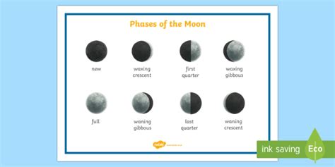 Phases of the Moon Word Mat (teacher made)