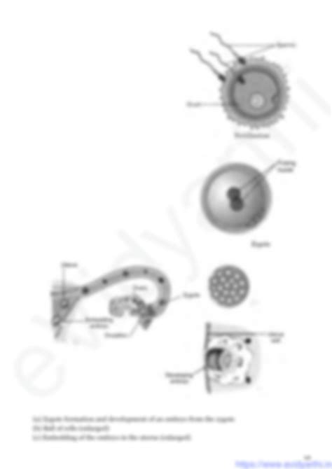 Image result for 8 Class Science Chapter 6 Full