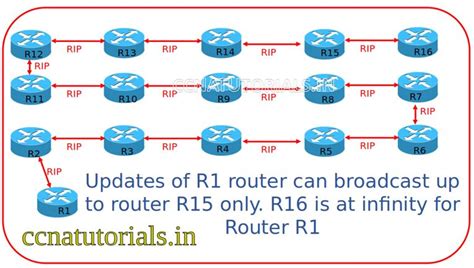 Image result for Distance Vector Routing Protocols