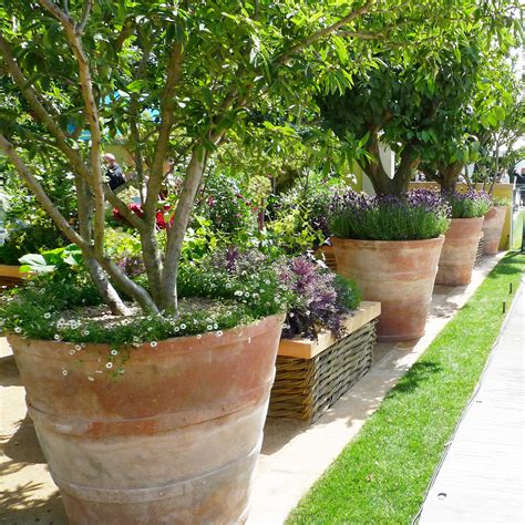 Terracotta Pots Care at Kevin Davidson blog