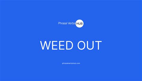 WEED OUT | Phrasal Verb Meaning & Examples