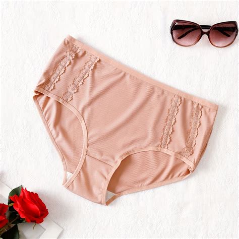 Panty Women's Plus High Rise Ribbed High Brief – CRAZE