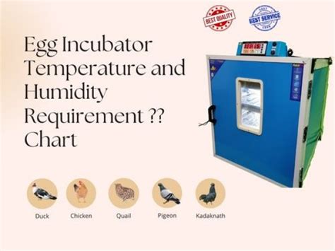 Hatching Egg Incubator Machine & Incubator Controller | Hatchpro