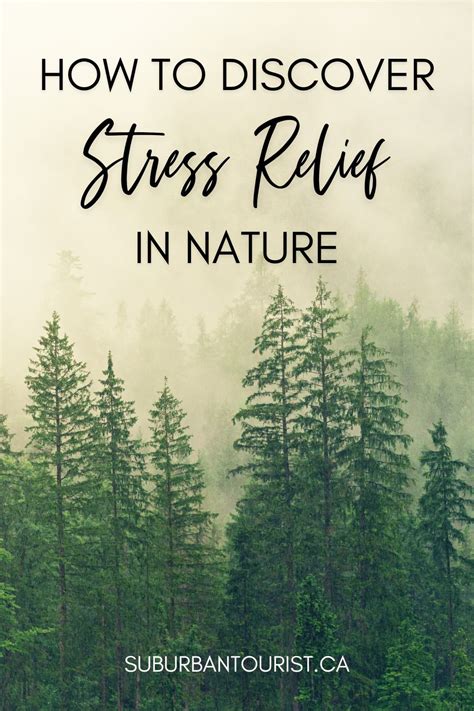 Inner Peace 的图像结果