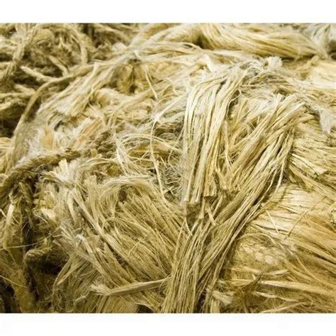 Natural Fibers - Ramie Fiber Packing Wholesale Trader from Chennai