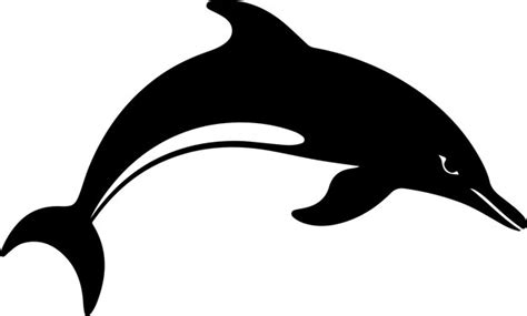 Image result for HTML CSS and JavaScript Developer HD