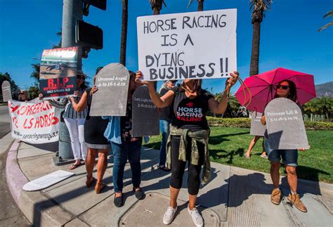 Another racehorse dies at Santa Anita Park, raising death toll to 35 ...