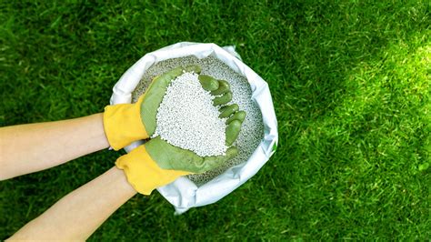 This is when and how you should fertilize your grass — tips from ...