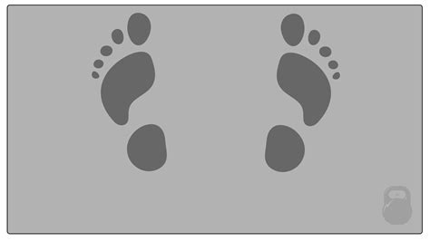 Hack Squat Foot Placement: How to Target Different Muscles - Inspire US