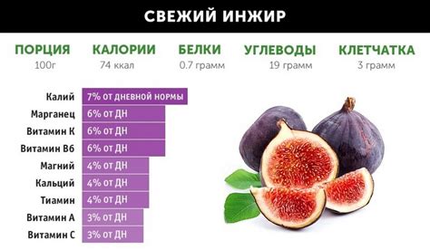 Инжир — польза и вред для организма, свойства и сколько нужно съесть?
