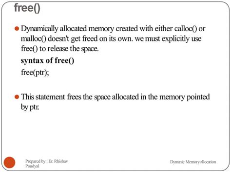 Dynamic Memory Allocation C Programming 的图像结果