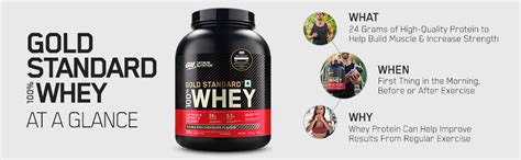 Buy Optimum Nutrition (ON) Gold Standard 100% Whey Protein Powder - 1 ...