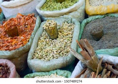 Image result for Five Basic Food Groups