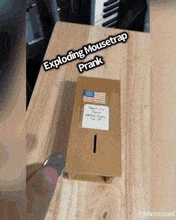 Image result for Exploding Mouse Trap