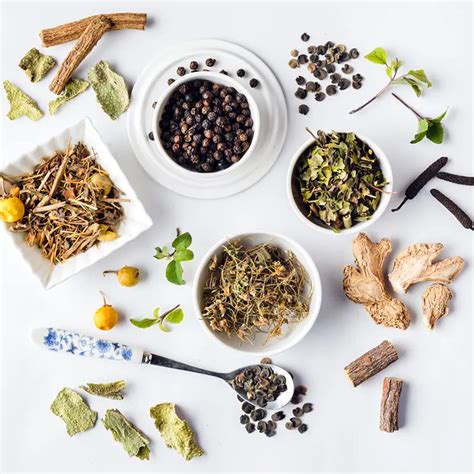 Cough Relief Bronchiofly Sugarfree Syrup – Butterfly Ayurveda