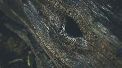 30+ Best Glory Hole Jokes - Worst Jokes Ever