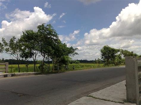 About Kalyani, Facts about Kalyani, Overview on Kalyani City