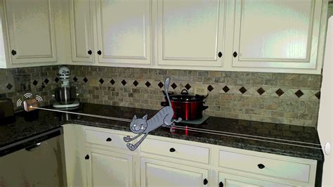 Ace Tips About How To Keep Cats Off Counters - Blockbath71