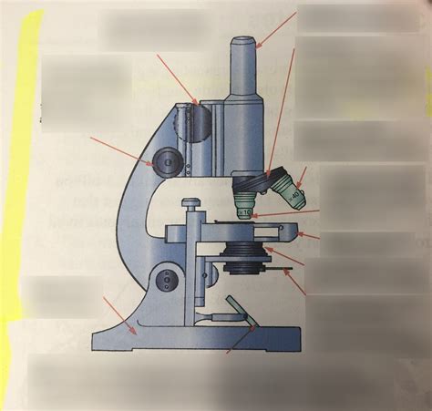 A Light Microscope 的图像结果