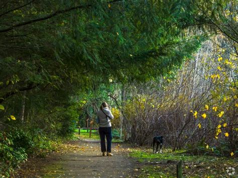Fircrest, WA City Guide | About Living in Fircrest - Homes.com