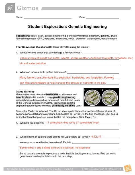 Genetic Engineering Gizmo Answer Key - Engine Upgrade Ideas