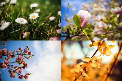 Image result for Pack Spring