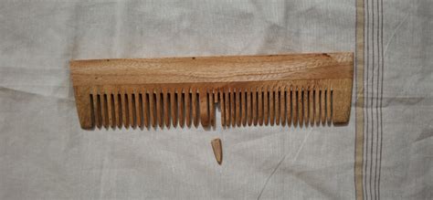 Natsbyte Neem Wood Comb with Ayurveda Hair Growth Oil | Anti Hair Fall ...