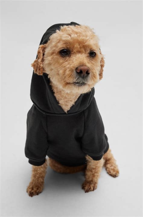 BOSS - Dog hoodie with iconic stripe logo - Black