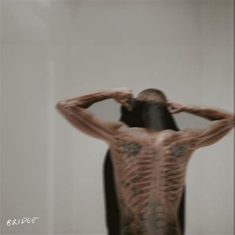 Bridge Rapper 的图像结果