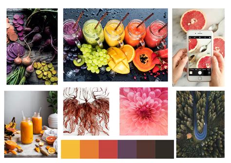 Image result for Root Application