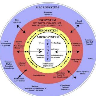 Image result for Bio Ecological Approach